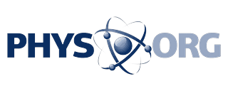 phys.org